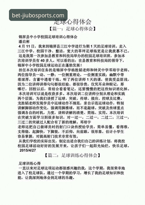 资深用户深度复盘：意大利足球的“第三次末日”与九博体育平台观赛感悟